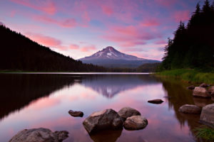 Trilium Sunset - Oregon