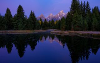 Schwabacher Stillness