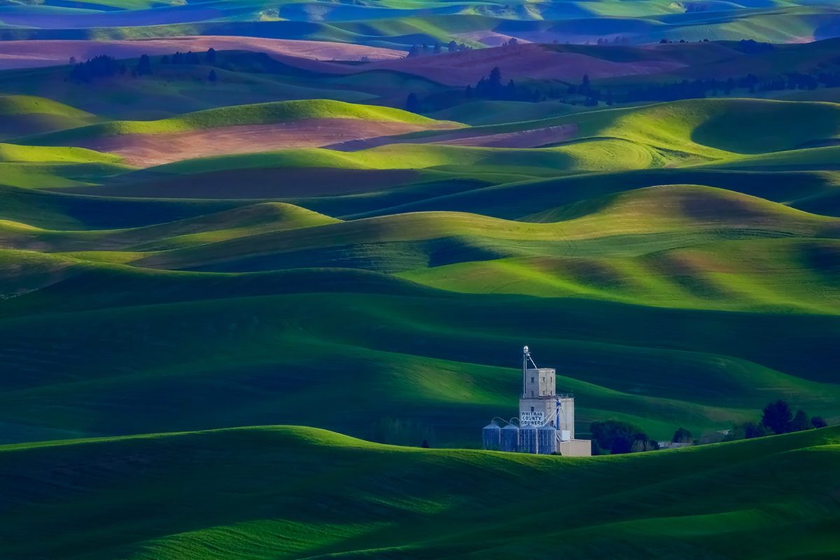 rolling green hills of The Palouse