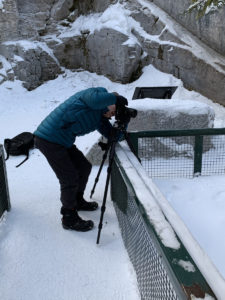 snow in canadian rockies