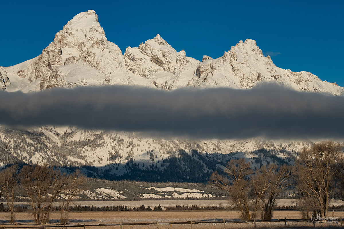 Teton Halves