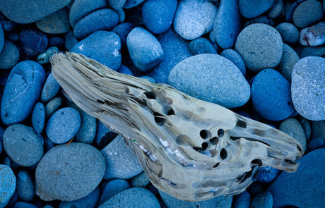 driftwood and rocks on beach