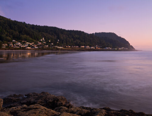Oregon Coast Workshop