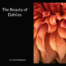 Book of dahlia flower pictures