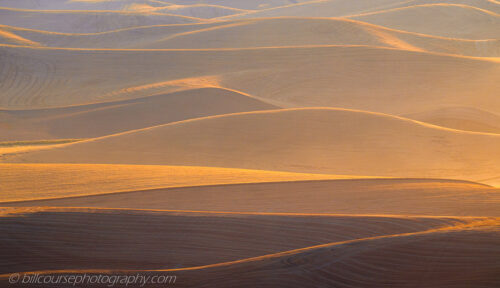 Palouse wheat fields during harvest