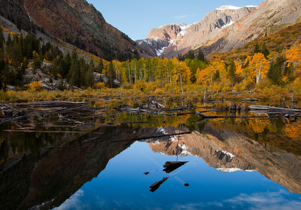 Fall landscape with yellow trees reflected in a lake