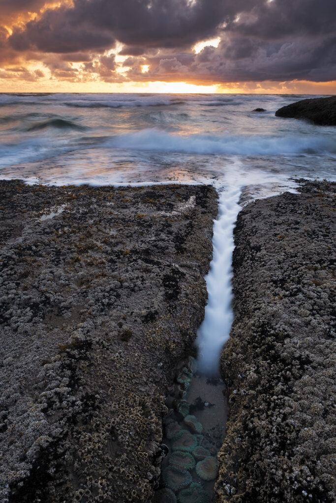Pacific ocean and rocks at sunset along the Oregon coast.