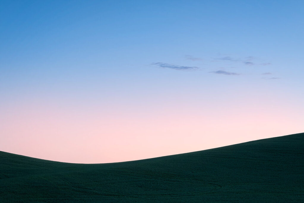 wheat fields at sunrise in the palouse