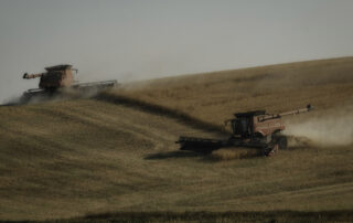 Harvesters in action in the wheat fields on eastern Washington