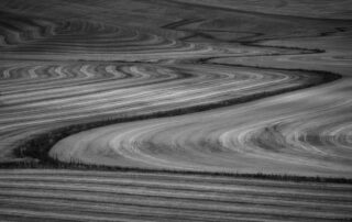 Curving lines dominate the fields in the Palouse