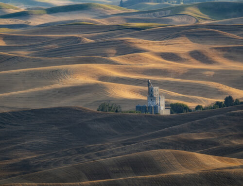 Photograph the Palouse Harvest