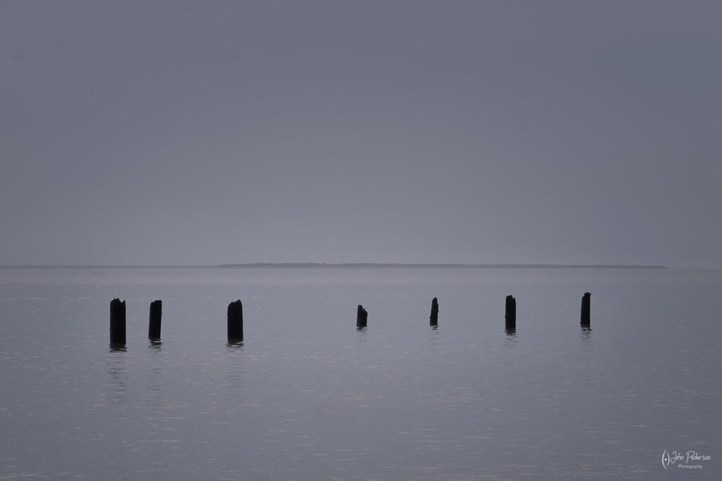 Old pilings of a pier near Astoria Oregon