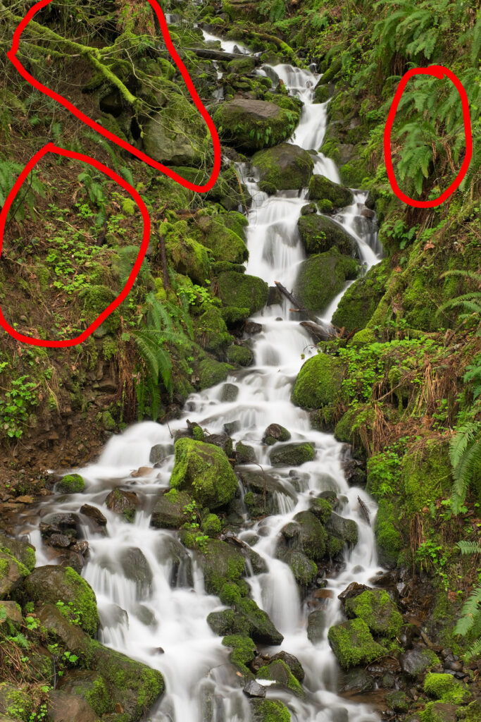 A shot of a creek in the Columbia River Gorge