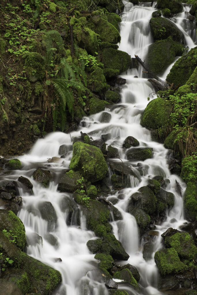 A shot of a creek in the Columbia River Gorge