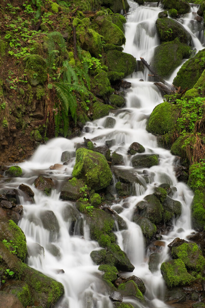 A shot of a creek in the Columbia River Gorge