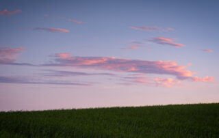 Sunrise over wheat field in the Palouse