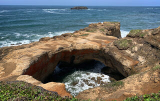 rock formation along the Oregon Coast