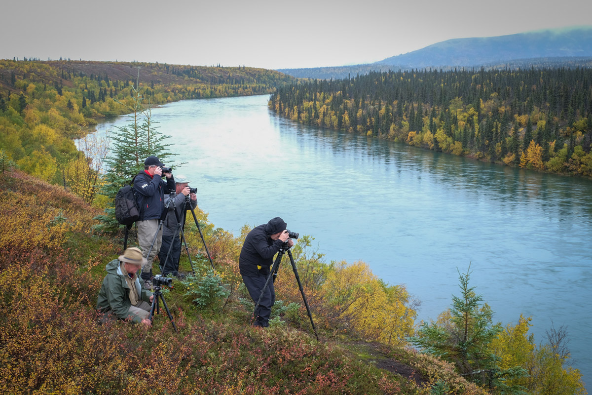 Workshop group photographing landscape and fall color in alaska