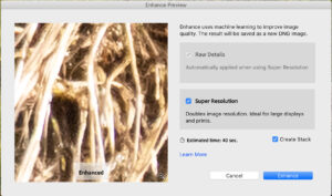 Adobe Lightroom Super Resolution dialog box