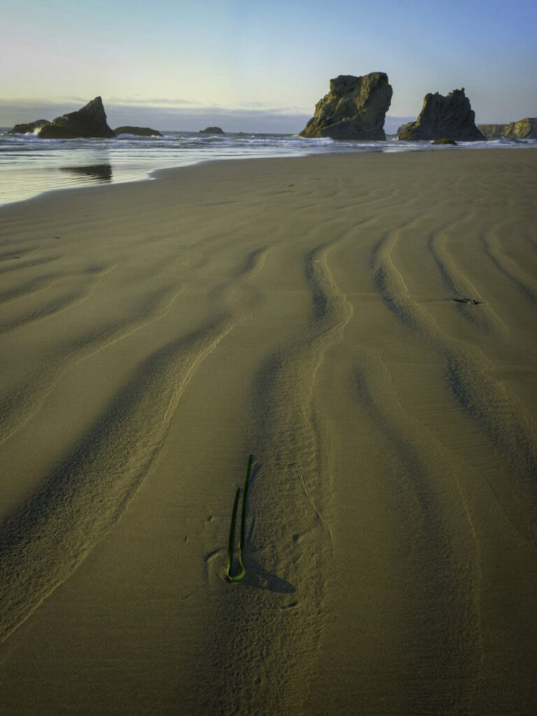 Lines in the sand at bandon beach oregon